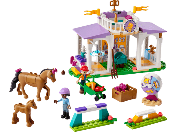 41746 Horse Training E2