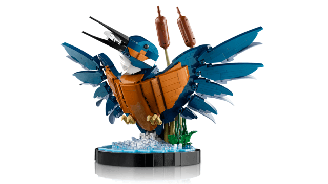 10331 Kingfisher Bird E9