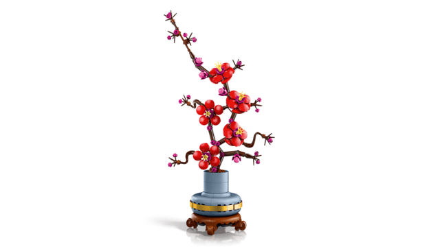 10369 Plum Blossom V29