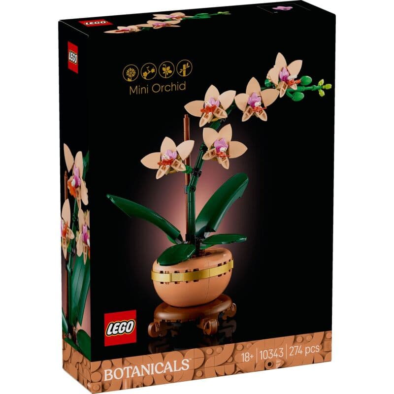 10343 Mini Orchid V29