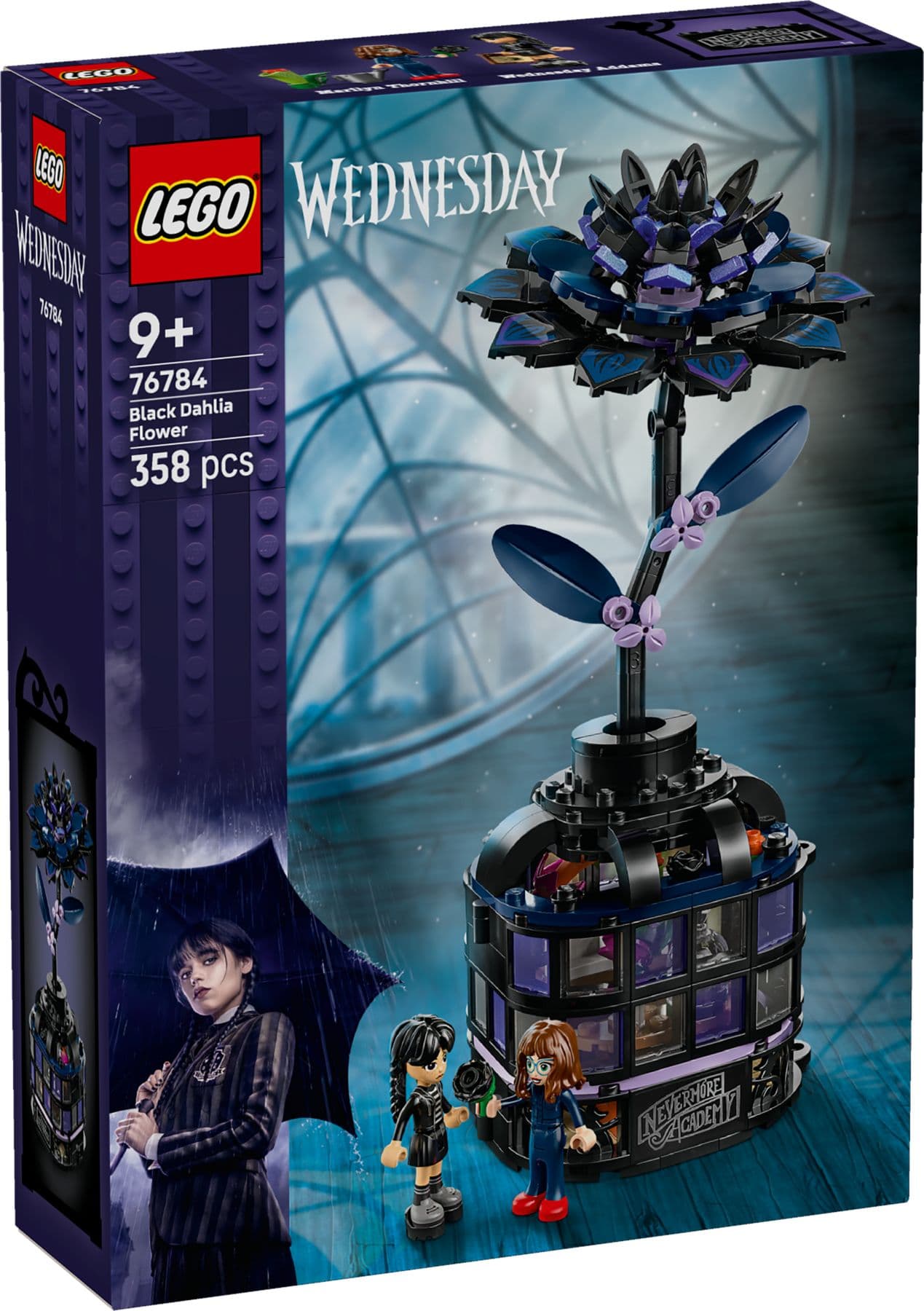 76784 Black Dahlia Flower V29