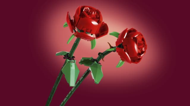 40460 Roses V111