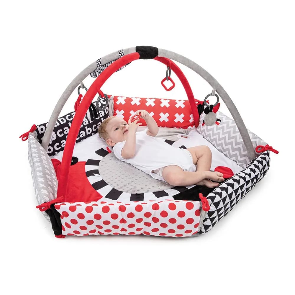 68/077 Canpol babies play mat SENSORY TOYS