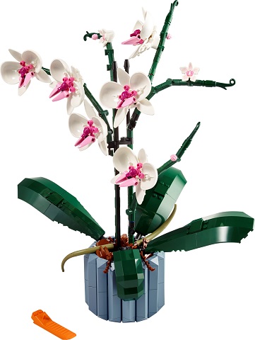 10311 Orchid V29 2
