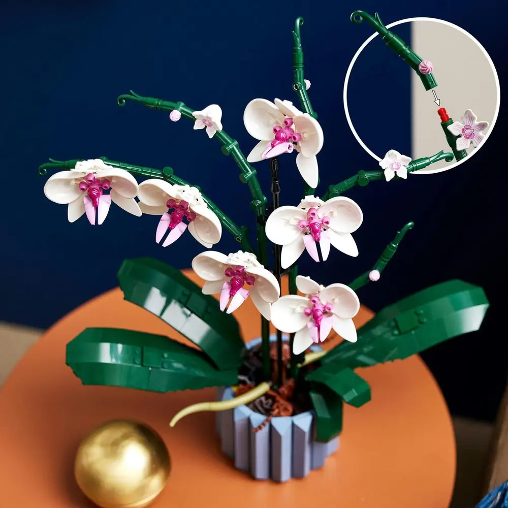 10311 Orchid V29 3