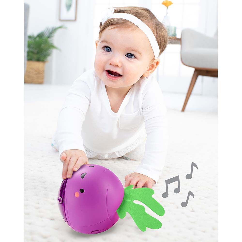 9J667210 Skip Hop Farmstand Beetbox Crawl Ball 2
