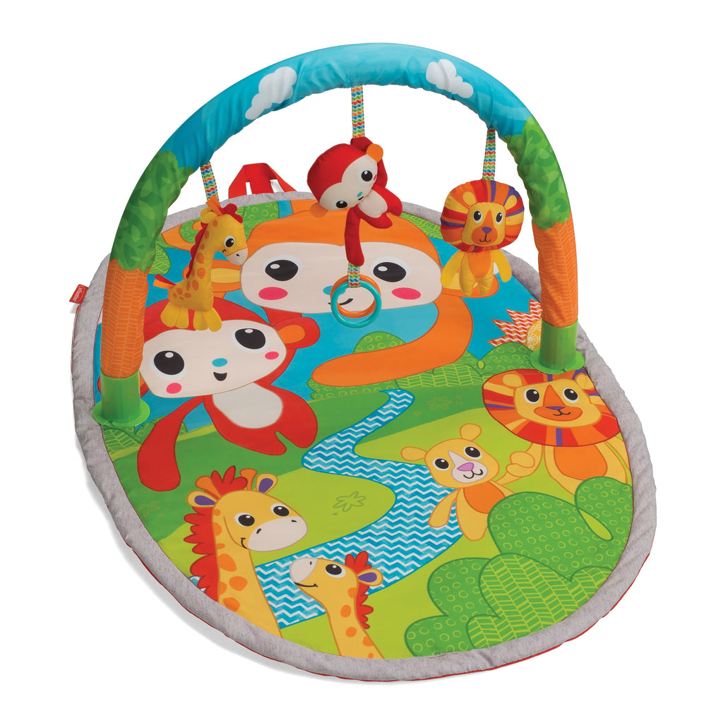 317020 INFANTINO PARK N SORT GARAGE 4