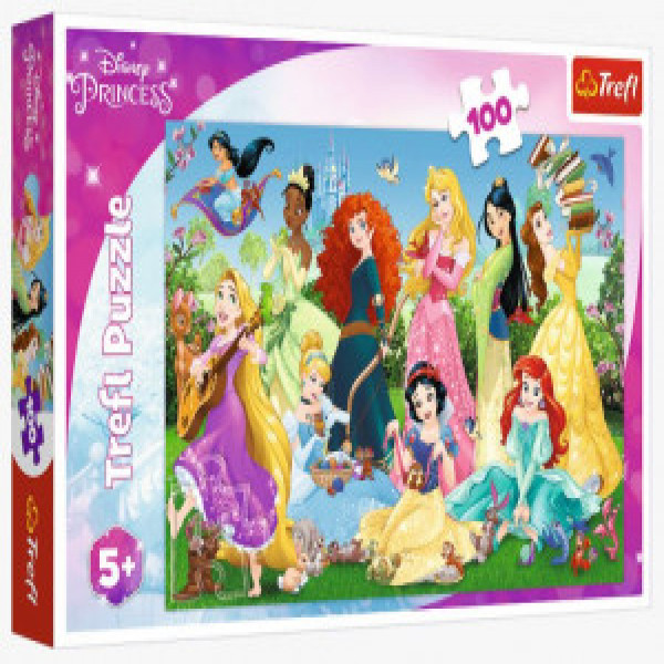 16417 Puzzles - "100" - Charming Princesses / Disney Princess 1