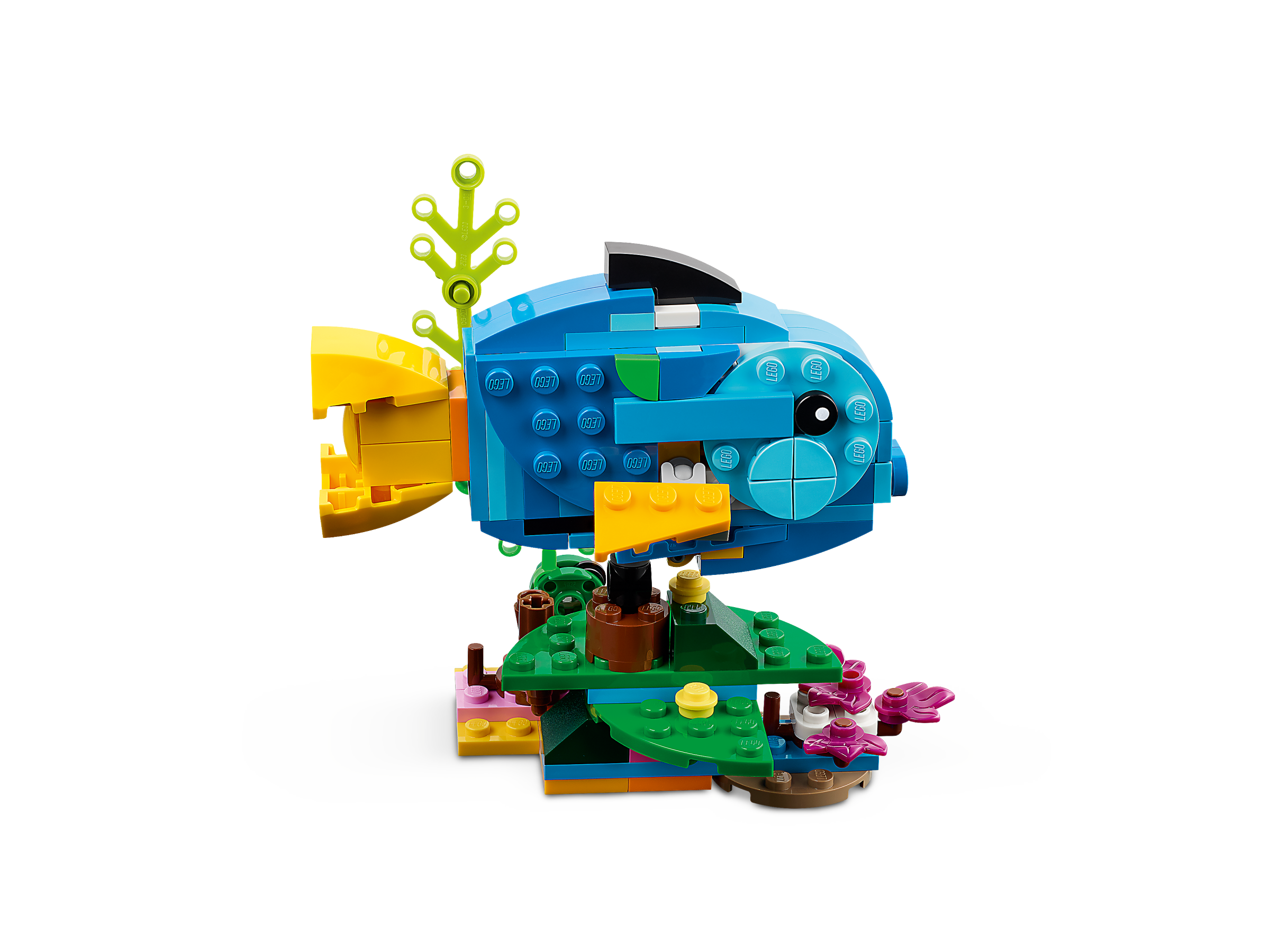 31136 Exotic Parrot V29 3