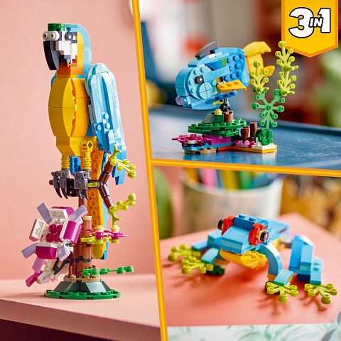 31136 Exotic Parrot V29 4
