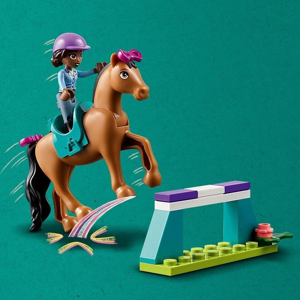 41746 Horse Training E2 3