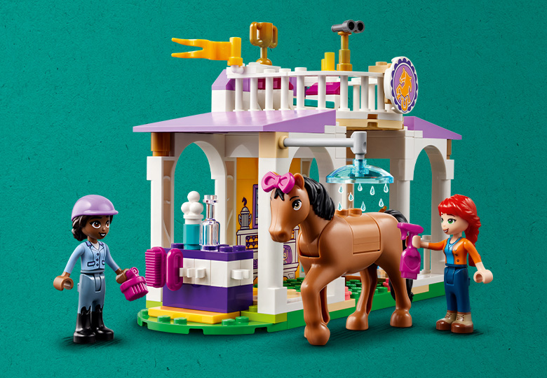 41746 Horse Training E2 4