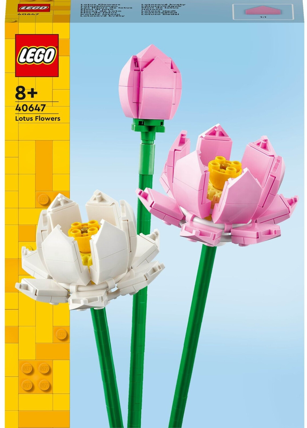 40647 Lotus Flowers V29 2