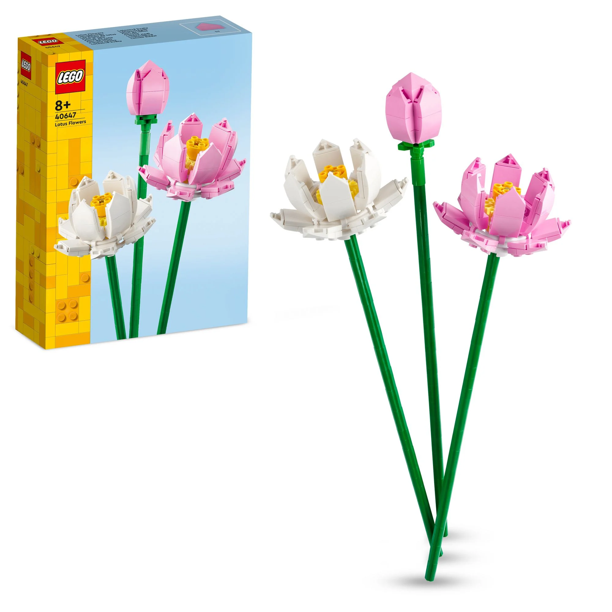 40647 Lotus Flowers V29 1