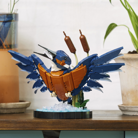 10331 Kingfisher Bird E9 2