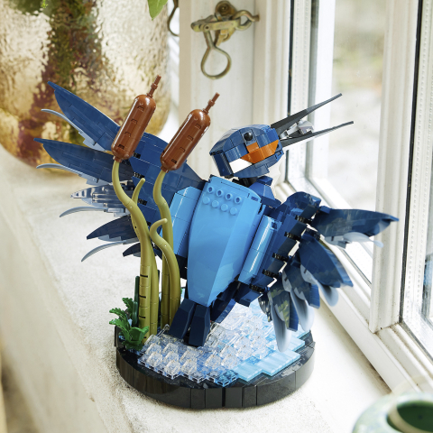 10331 Kingfisher Bird E9 3