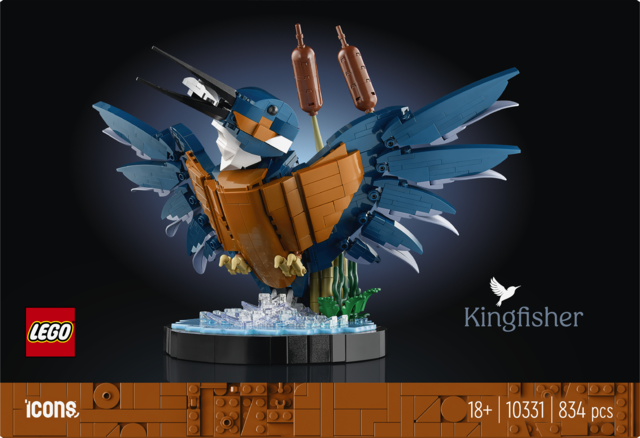 10331 Kingfisher Bird E9 4