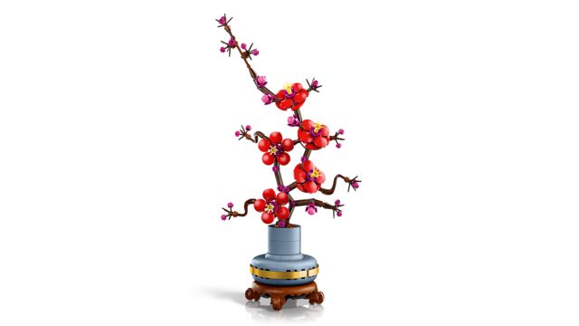 10369 Plum Blossom V29 1