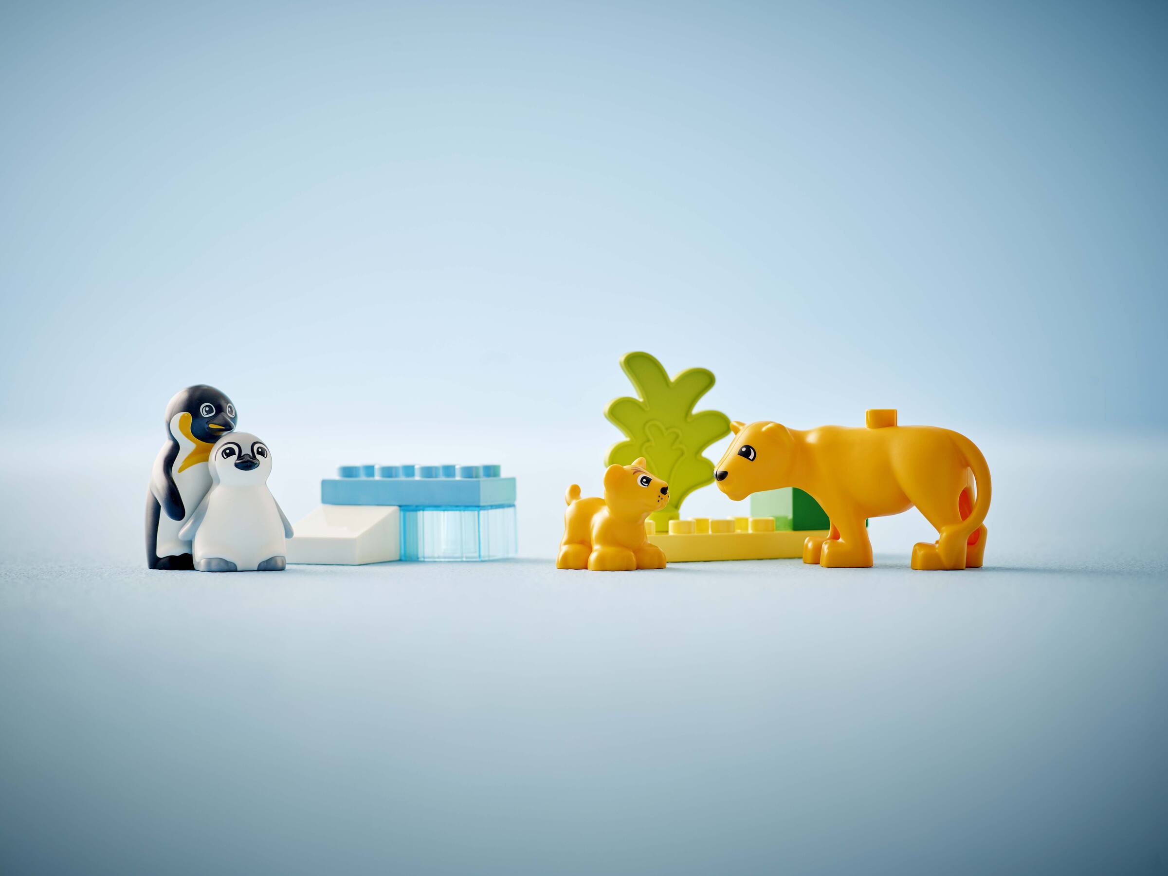 10442 Wild Animal Families: Pengui.. V29 2