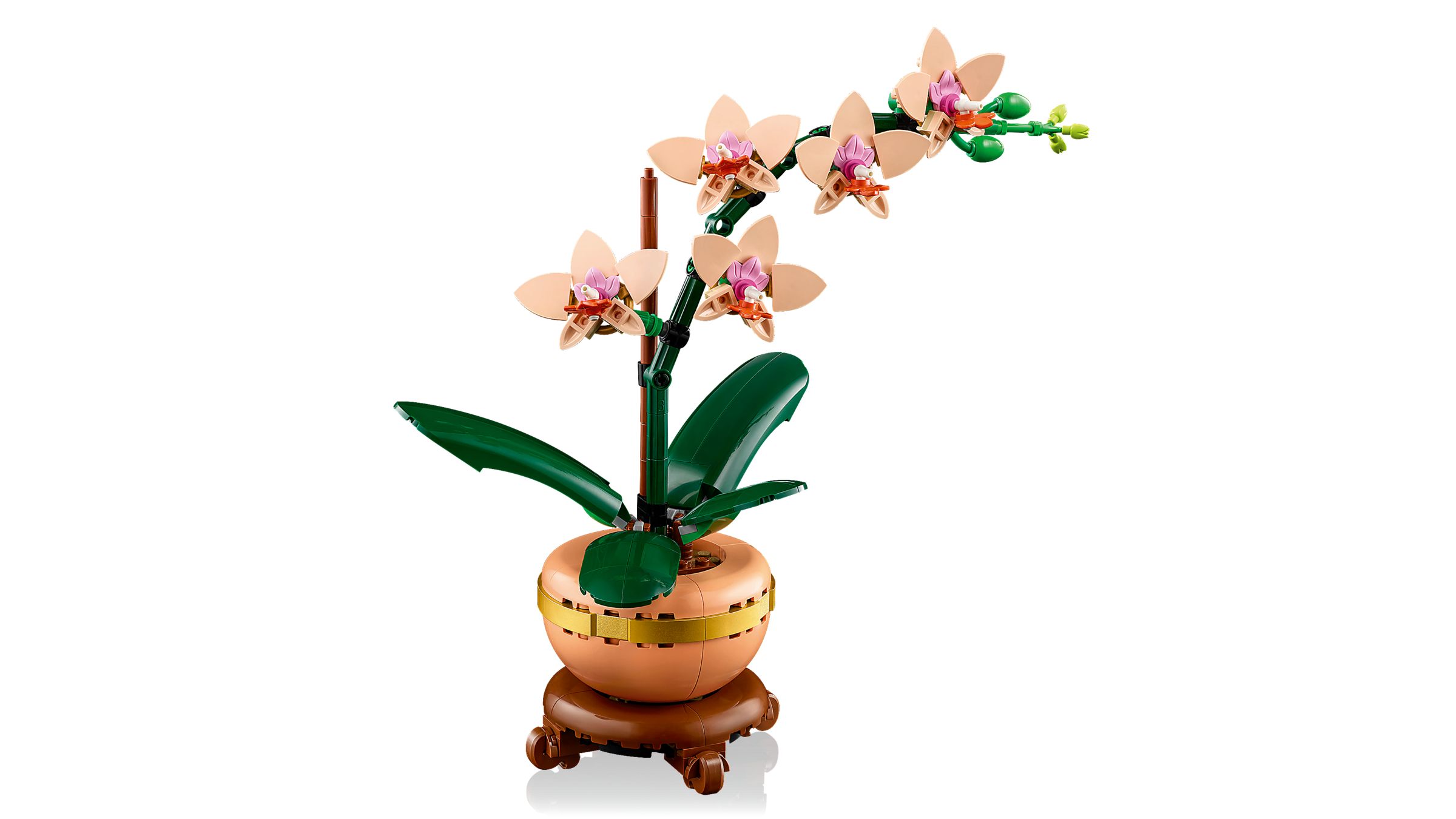 10343 Mini Orchid V29 2