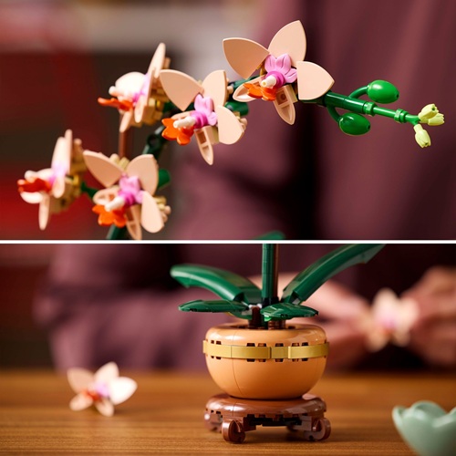10343 Mini Orchid V29 3