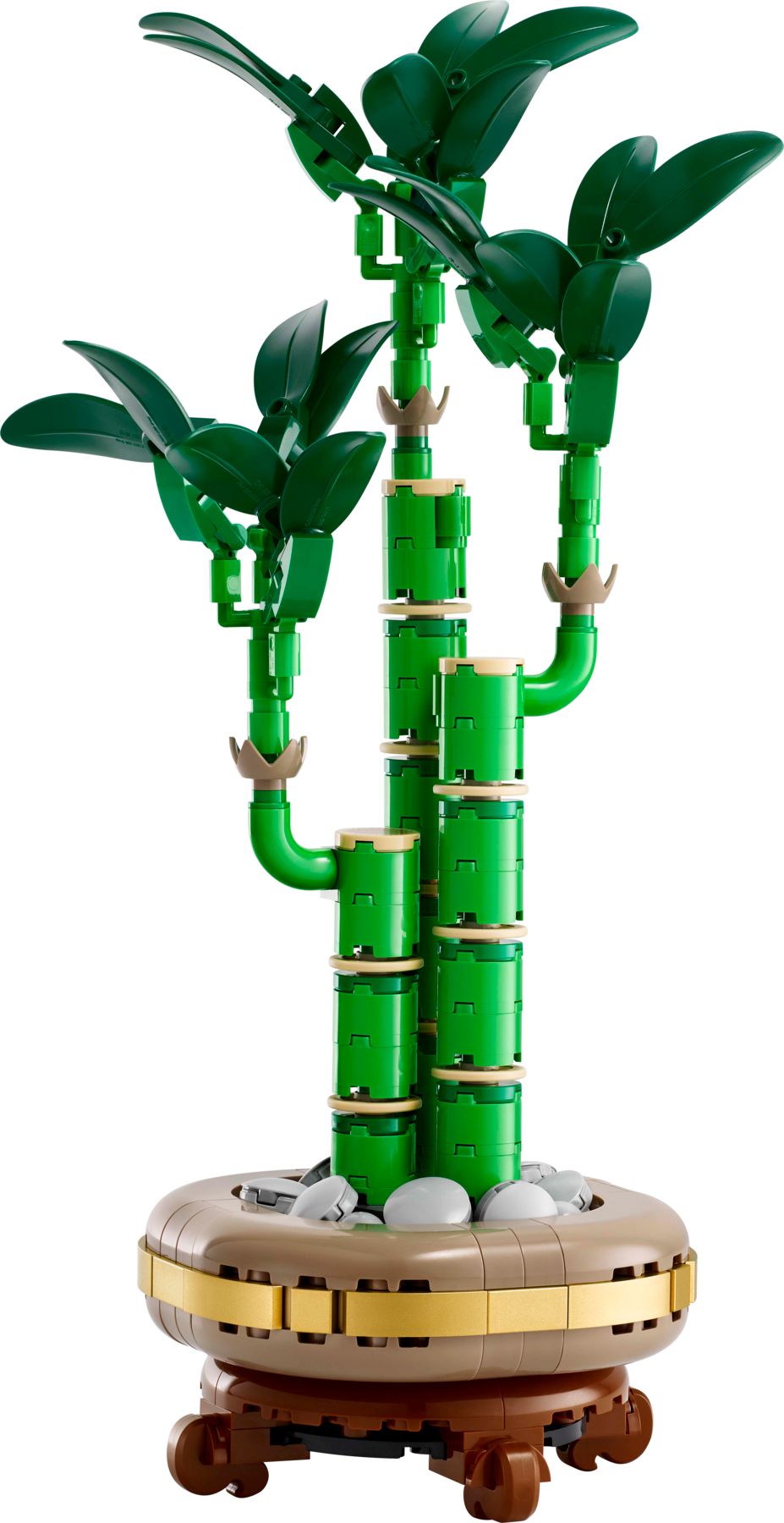 10344 Lucky Bamboo V29 2