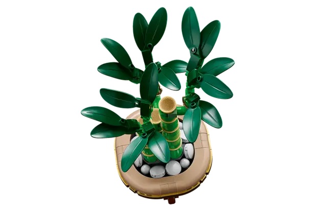 10344 Lucky Bamboo V29 3