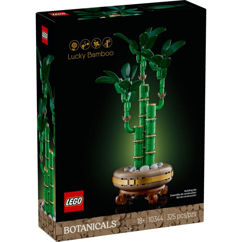 10344 Lucky Bamboo V29 1
