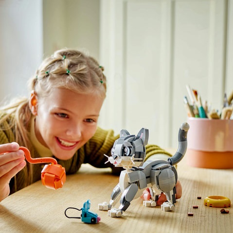 31163 Playful Cat V29 4