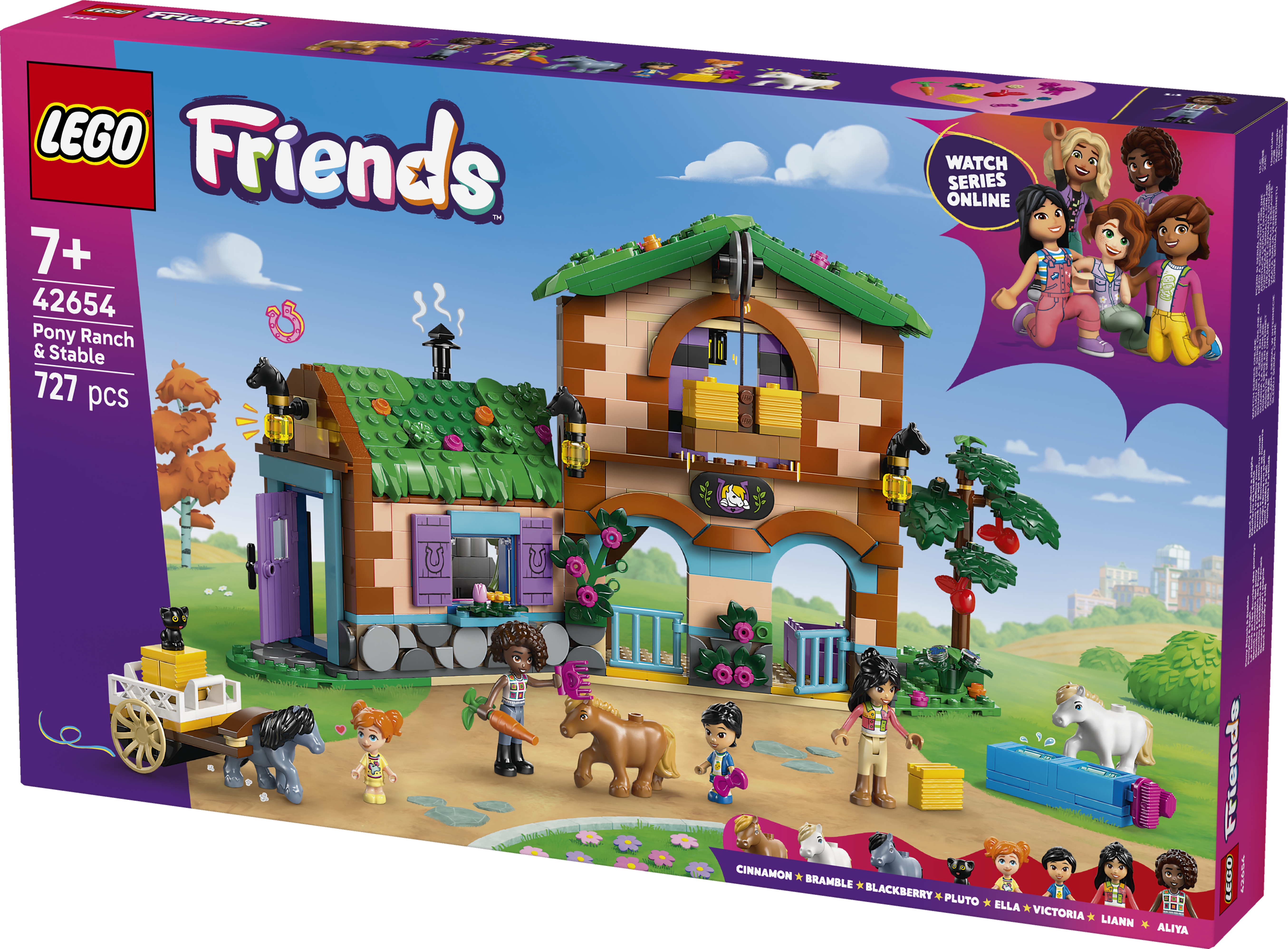 42654 Pony Ranch & Stable 2