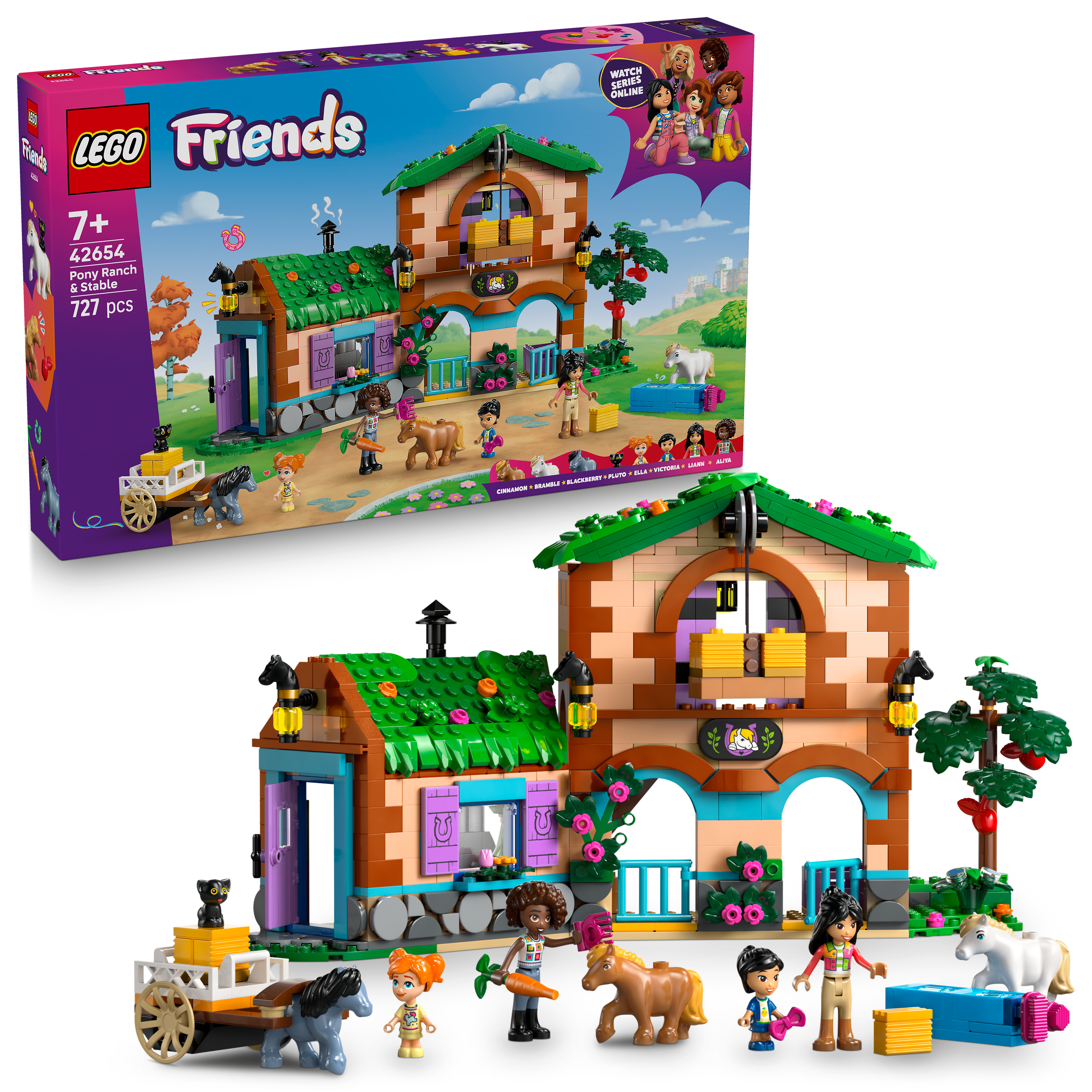42654 Pony Ranch & Stable 3