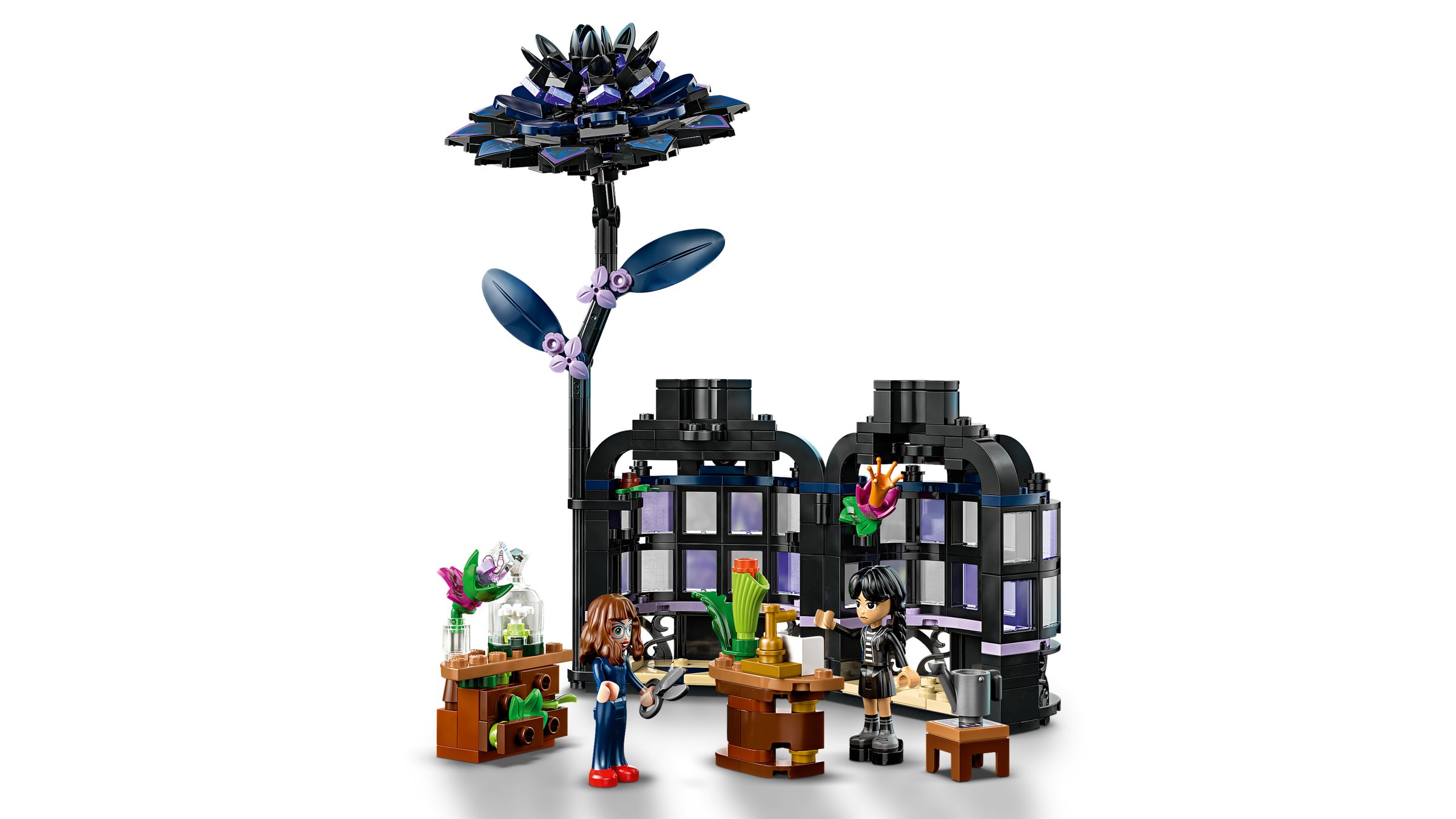 76784 Black Dahlia Flower V29 2