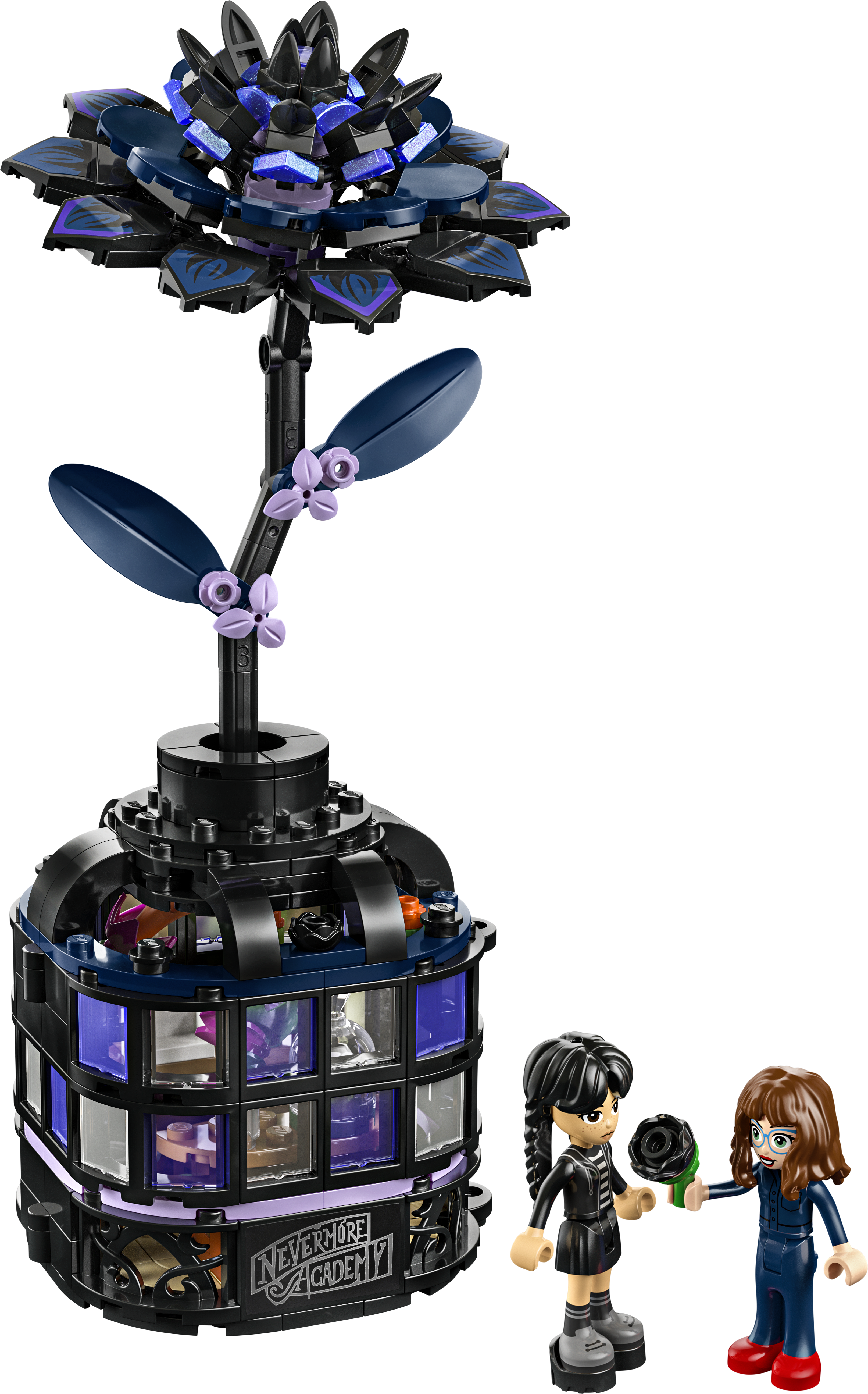 76784 Black Dahlia Flower V29 3