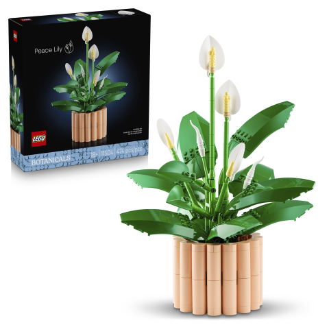 11504 Peace Lily 3