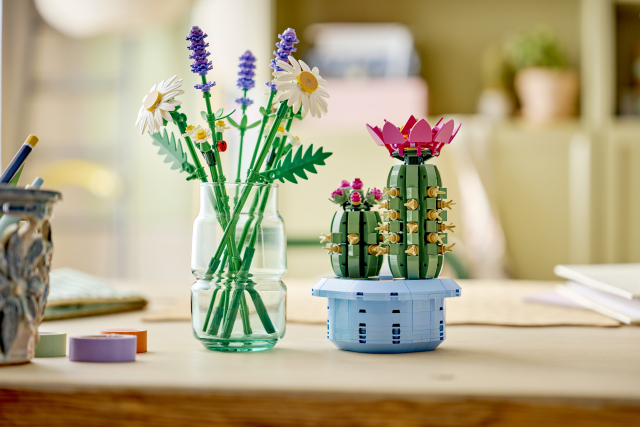 11509 Flowering Cactus 2