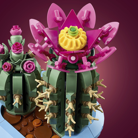 11509 Flowering Cactus 3