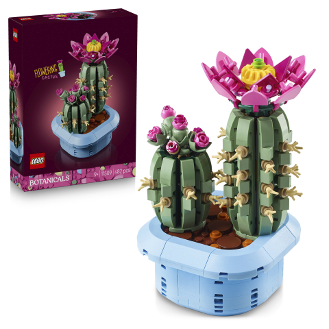11509 Flowering Cactus 4