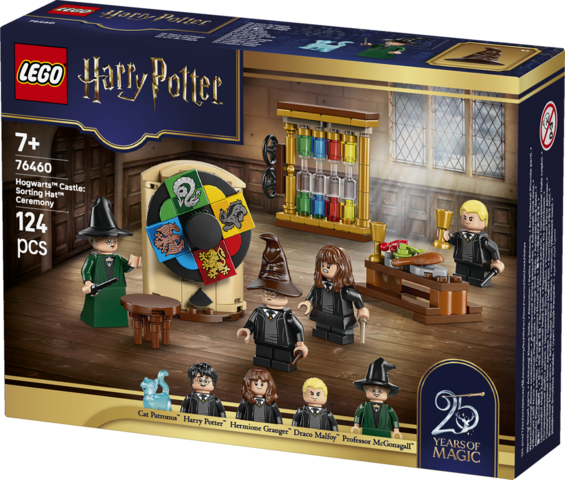 76460 Hogwarts™ Castle: Sorting Ha.. V29 4
