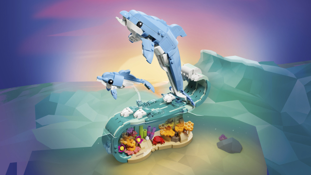 31385 Sea Animals: Beautiful Dolphins 1