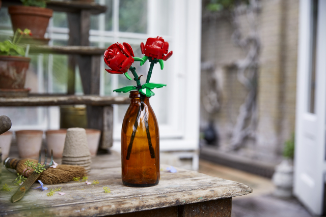 40460 Roses V111 2