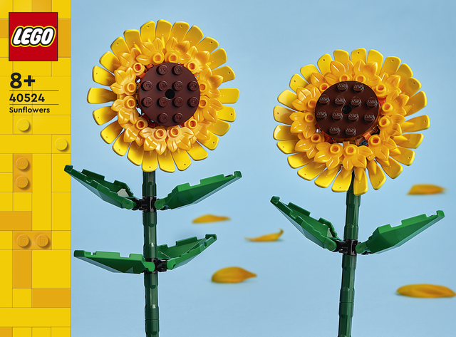 40524 Sunflowers V110 3