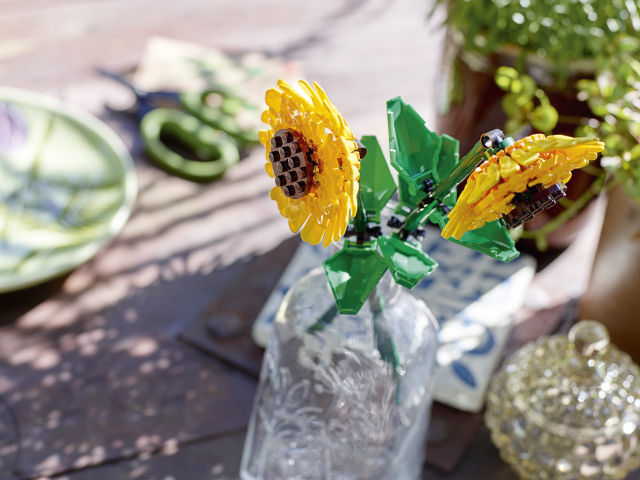 40524 Sunflowers V110 4