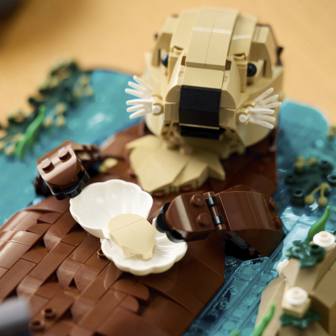 21366 Floating Sea Otters V29 2
