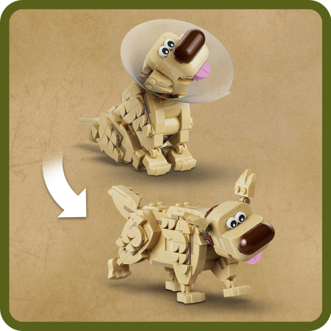 43290 Kevin & Dug V29 3