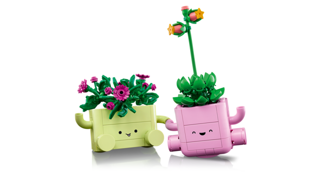 11506 Rocking Plants V29 1
